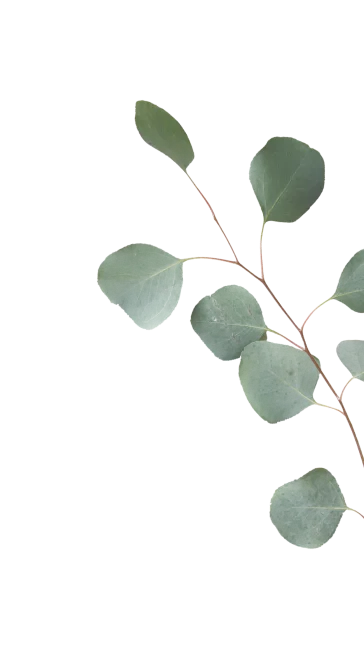 flor